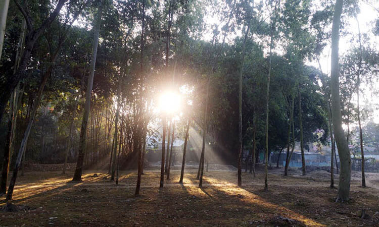 ঝলমলে রোদেও ১০ ডিগ্রিতে পঞ্চগড়ের তাপমাত্রা