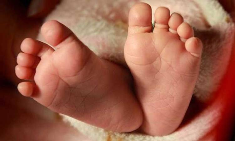 সিংড়ায় মাদ্রাসার পেছনে নবজাতকের লাশ উদ্ধার