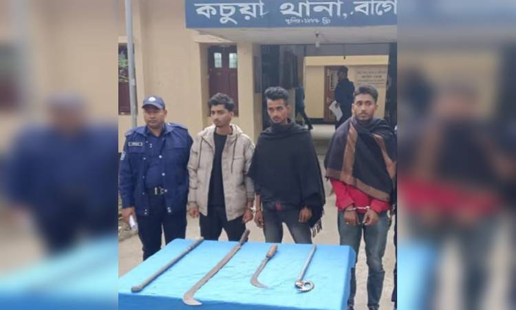 কচুয়ায় দেশীয় অস্ত্রসহ ৩ জন ডাকাত আটক