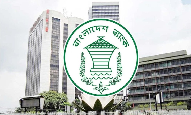 নীতিমালার উন্নয়নে বিদেশি পরামর্শক নিয়োগ করবে কেন্দ্রীয় ব্যাংক