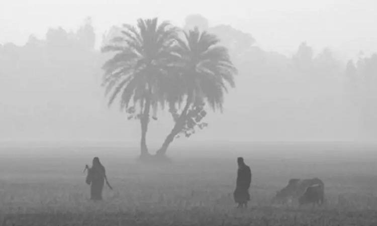 শুক্রবার থেকে ফের শৈত্যপ্রবাহের আভাস
