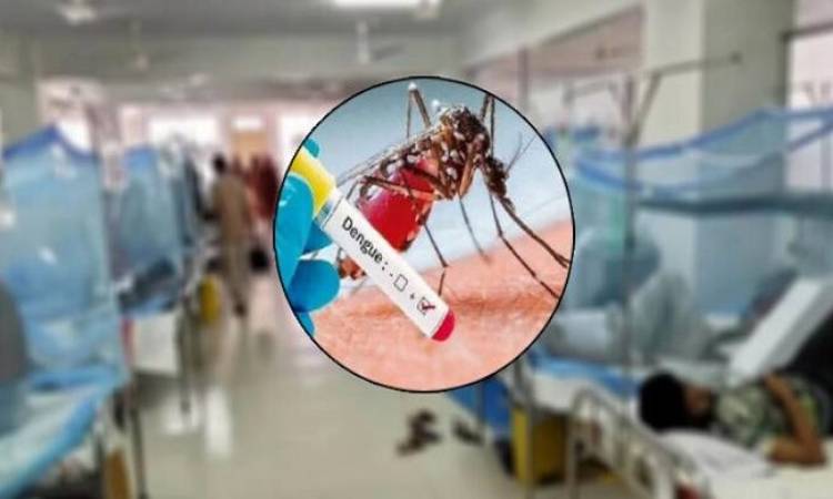 ডেঙ্গুতে আরও একজনের মৃত্যু, হাসপাতালে ভর্তি ১৭২