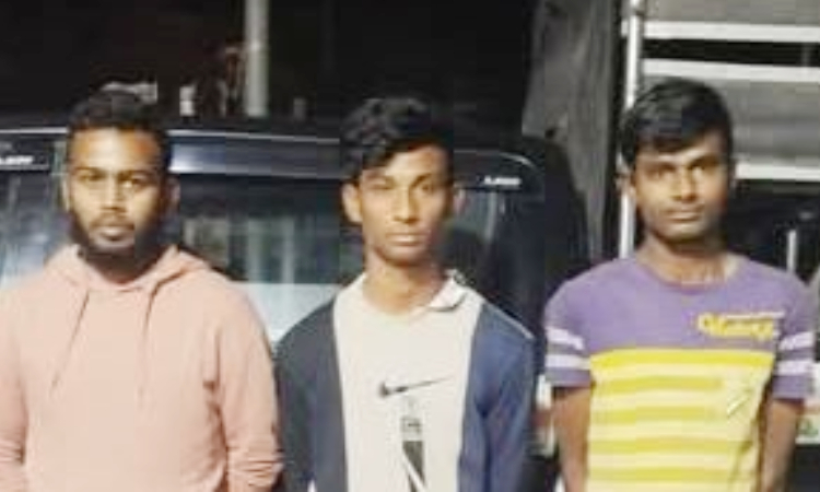 ফেনীতে বিদেশী মদ-গাঁজাসহ গ্রেফতার ৩