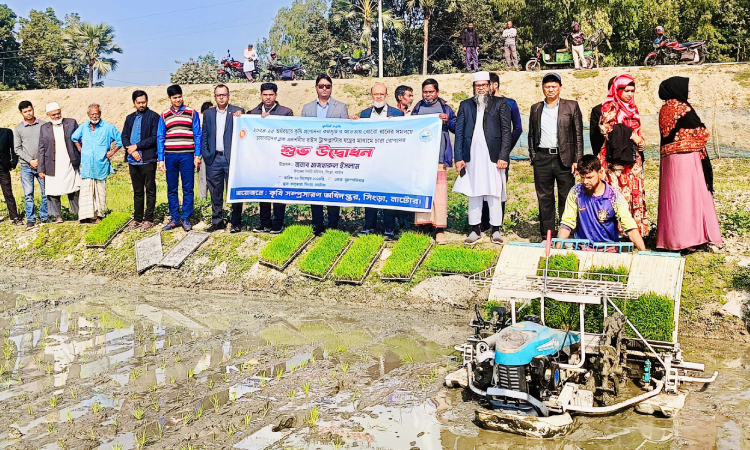 সিংড়ায় রাইস ট্রান্সপ্লান্টার যন্ত্রের মাধ্যমে ধান রোপণ