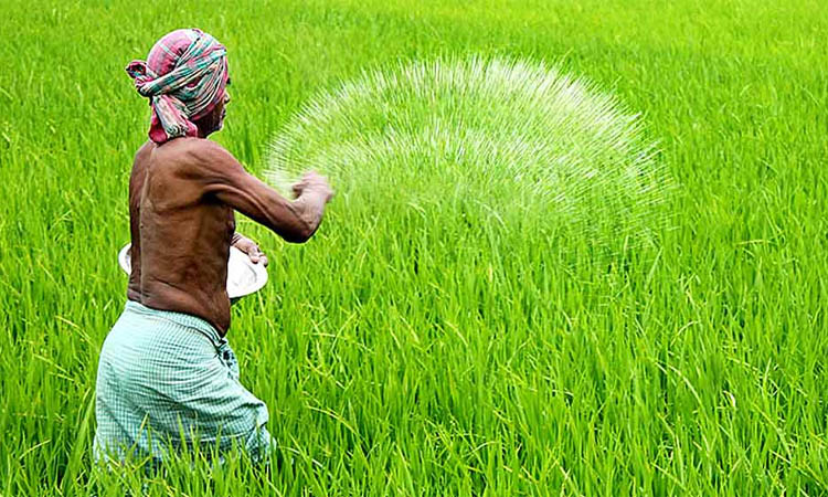 এক লাখ ৩০ হাজার টন সার কিনবে সরকার
