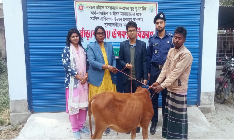 নন্দীগ্রামে ক্ষুদ্র নৃগোষ্ঠী পরিবারের মাঝে ষাঁড় ও বকনা বাছুর বিতরণ