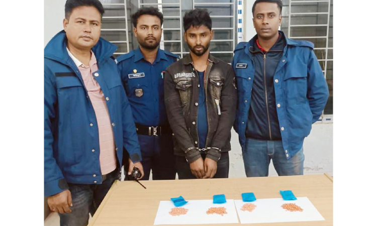 বিজয়নগরে ৭৭৬ পিচ ইয়াবাসহ গ্রেফতার ১