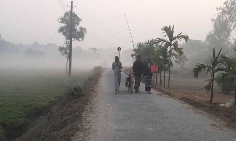 টানা তিন দিন কমবে দিন-রাতের তাপমাত্রা