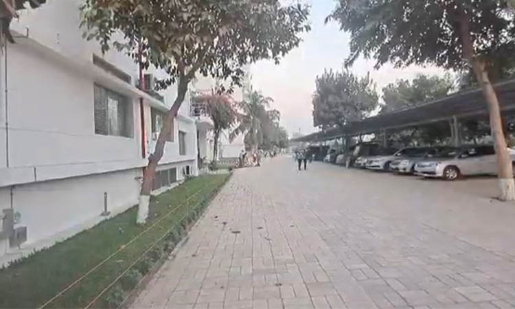 পোশাক কারখানায় বাসা বেধেছে কয়েক হাজার চড়ুই