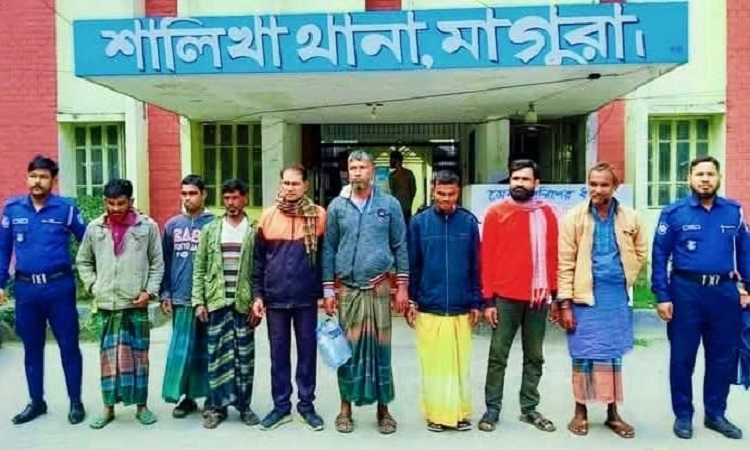 শালিখায় ওয়ারেন্টভুক্ত ৮ আসামি গ্রেফতার