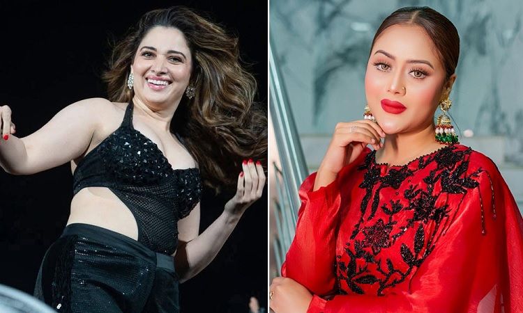 তামান্নার প্রসঙ্গ তুলে বারিশার আক্ষেপ