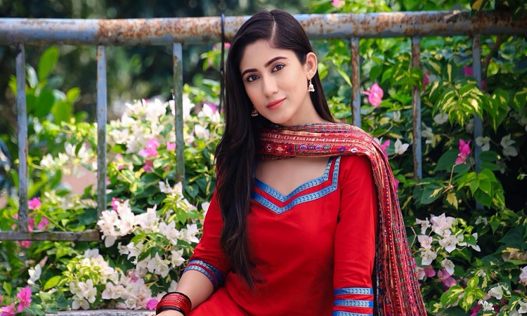 নতুন বছরে যে বার্তা দিলেন সাফা কবির
