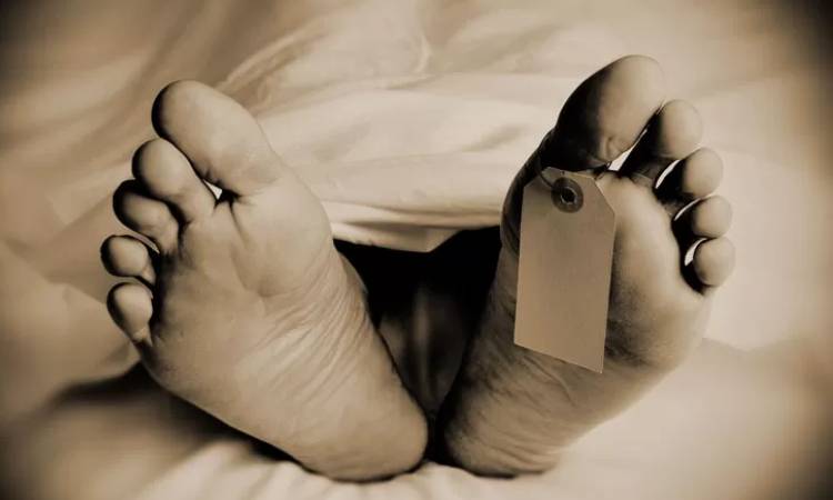 ঝিনাইদহে বাসের ধাক্কায় বৃদ্ধ নিহত