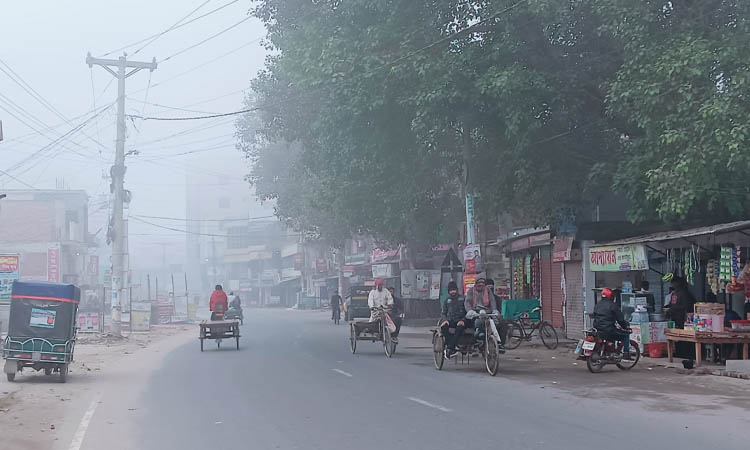 শৈত্যপ্রবাহ নেই তবুও শীতে কাঁপছে চুয়াডাঙ্গা