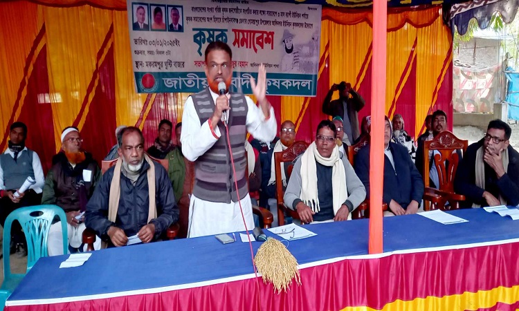 গোমস্তাপুর আলীনগর ইউনিয়ন কৃষক দলের উদ্যোগে কৃষক সমাবেশ অনুষ্ঠিত