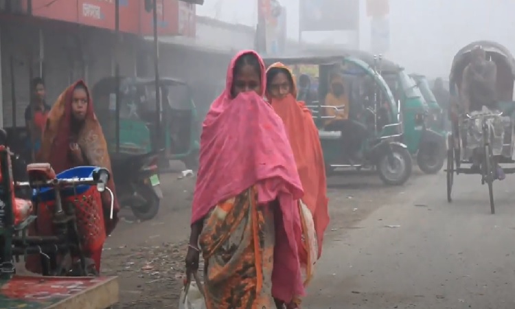 কুষ্টিয়ায় তীব্র শীতে জনজীবন বিপর্যস্ত