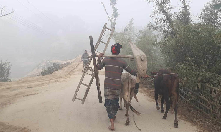 পঞ্চগড়ে বাড়ছে শীত, কমছে তাপমাত্রার পারদ