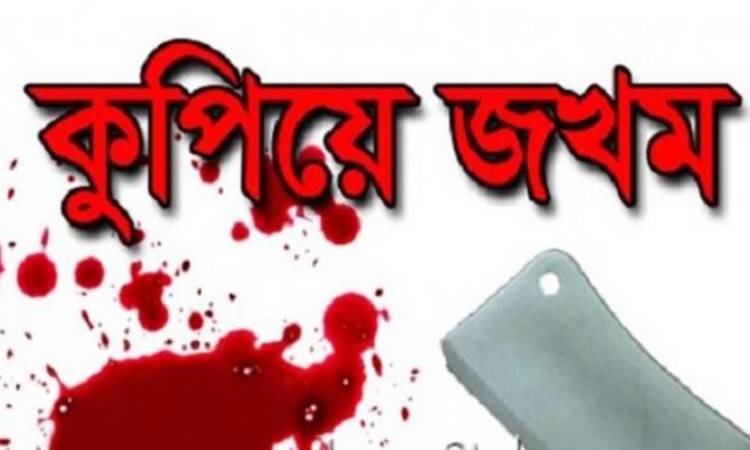 রাণীনগরে যুবককে কুপিয়ে জখম