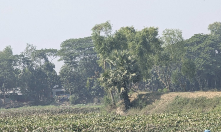 ভালুকায় বিরোধপূর্ণ জমি নিয়ে থানায় পাল্টাপাল্টি অভিযোগ