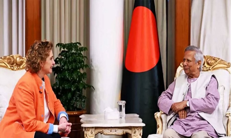 নির্বাচনের প্রস্তুতি নিচ্ছে সরকার: প্রধান উপদেষ্টা