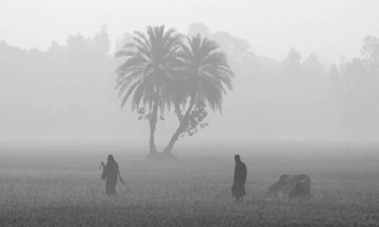 দেশের ৫ জেলায় শৈত্যপ্রবাহ অব্যাহত থাকতে পারে