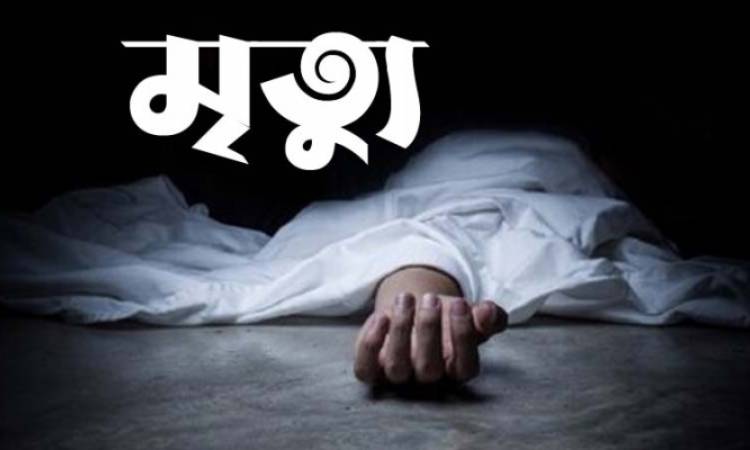 সাতক্ষীরায় ইজিবাইকের চাকায় ওড়না পেঁচিয়ে কিশোরীর মৃত্যু