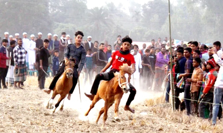 বিরামপুরে ঐতিহ্যবাহী ঘোড়া দৌড় প্রতিযোগিতা অনুষ্ঠিত