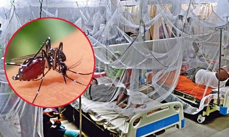 ডেঙ্গুতে আরও একজনের মৃত্যু, হাসপাতালে ভর্তি ৪৫
