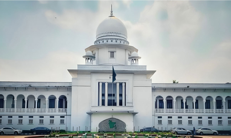 বিএনপি নেতা হাফিজ ইব্রাহিমের টিন আত্মসাতের মামলা স্থগিত