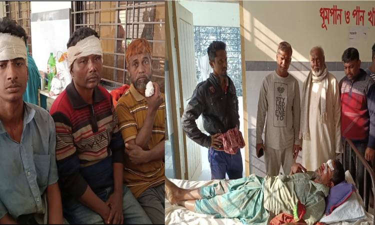 বিদ্যালয়ের কমিটি নিয়ে বিএনপি-জামায়াত সংঘর্ষ, আহত ২০