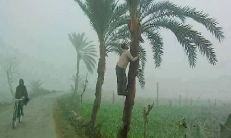 আগামী সপ্তাহে ফের বাড়তে পারে শীত