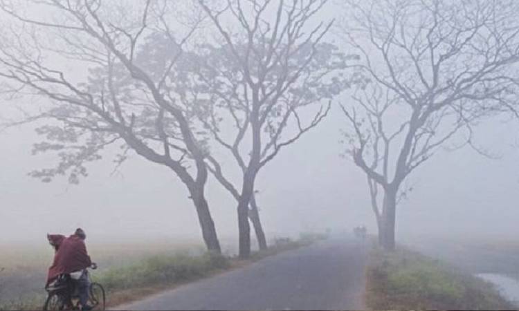 কখন শুরু হবে শৈত্যপ্রবাহ, জানাল আবহাওয়া অফিস