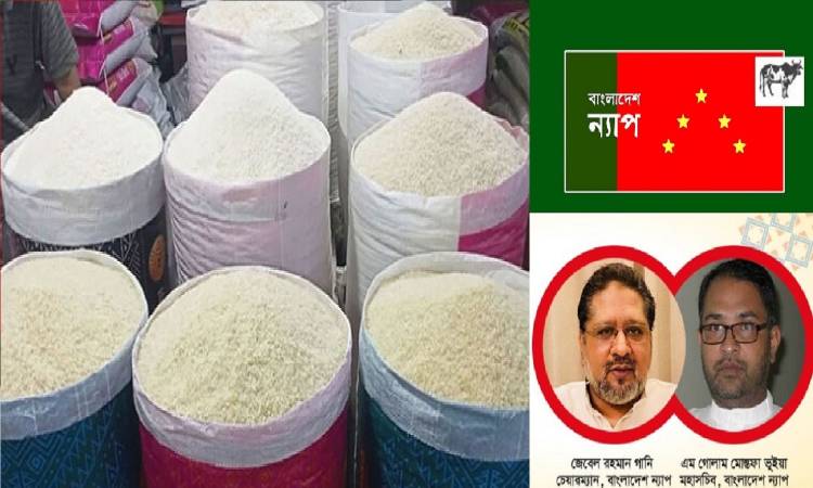 চালের বাজার নিয়ন্ত্রণে কঠোর পদক্ষেপ নিন: সরকারকে বাংলাদেশ ন্যাপ