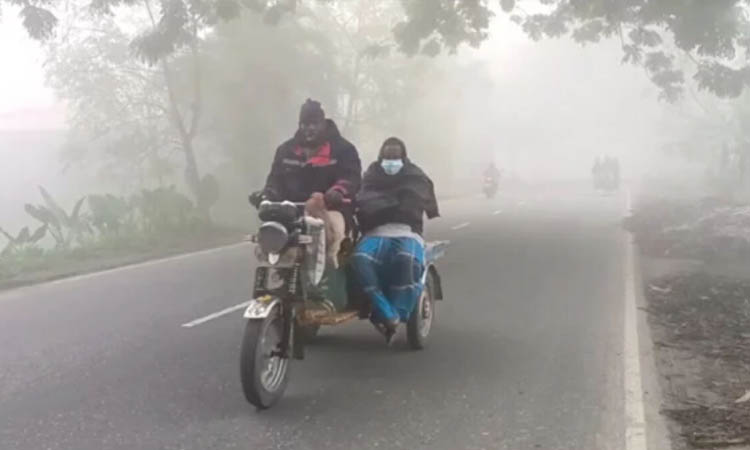 মাঘের শুরুতে আবার চুয়াডাঙ্গায় জেঁকে বসেছে শীত