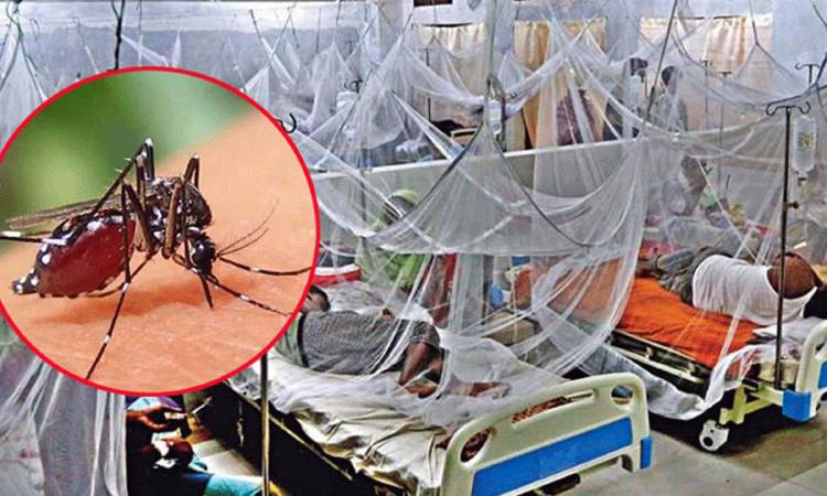 ডেঙ্গুতে আরও একজনের মৃত্যু, হাসপাতালে ভর্তি ৪০