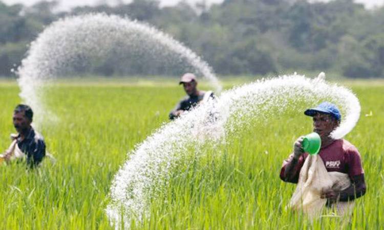 ৭৫৬ কোটি টাকার সার কিনবে সরকার