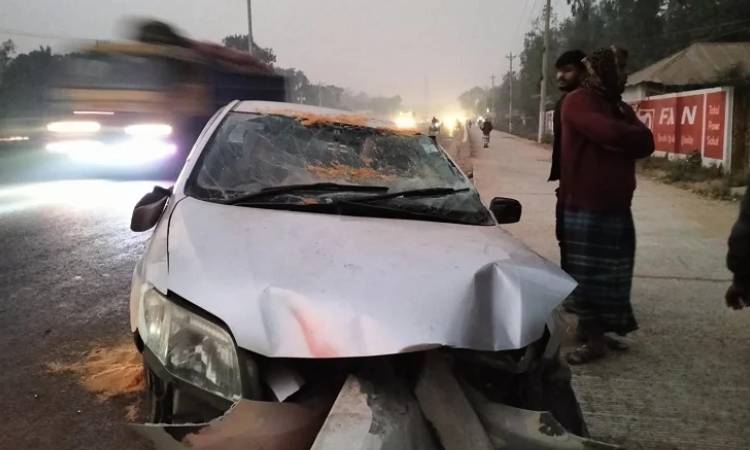 প্রাইভেটকার নিয়ন্ত্রণ হারিয়ে শ্যালক ও দুলাভাই নিহত