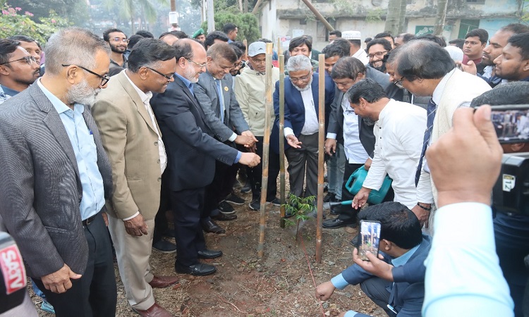 জিয়াউর রহমানের জন্মবার্ষিকী উপলক্ষে শেকৃবিতে বৃক্ষরোপন কর্মসূচি