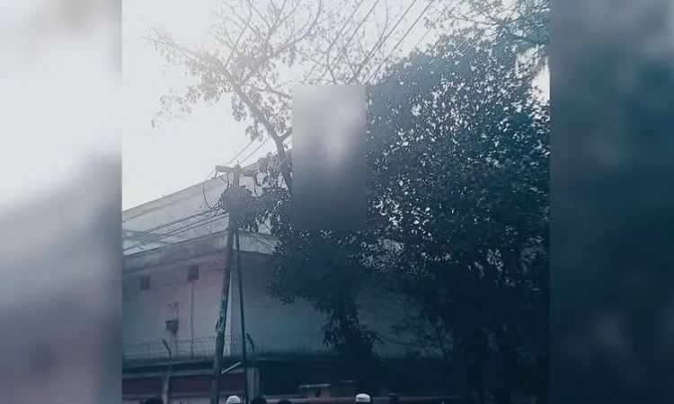 ঢাবি এলাকায় গাছে ঝুলন্ত ব্যক্তি সম্পর্কে যা জানালেন ছোট ভাই