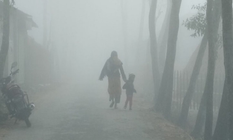 শীতে কাঁপছে দিনাজপুরবাসী, দেখা নেই সূর্যের