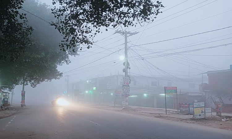 বৃষ্টির মতো কুয়াশা ঝরছে চুয়াডাঙ্গায়