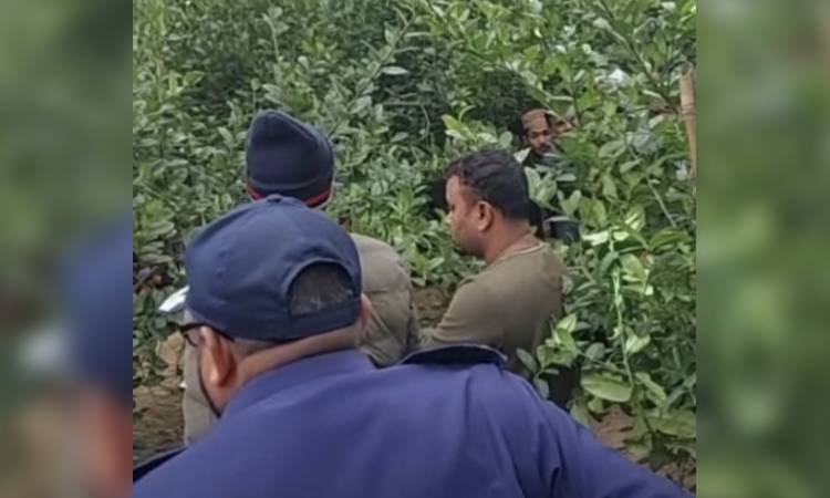 টাঙ্গাইলে ব্যবসায়ীর মরদেহ উদ্ধার