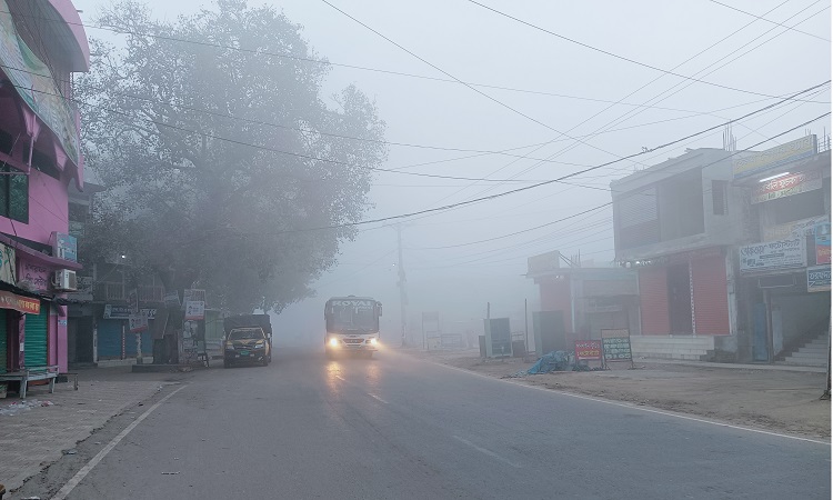 ঘন কুয়াশায় ঢেকে আছে চুয়াডাঙ্গা, শৈত্যপ্রবাহের আভাস