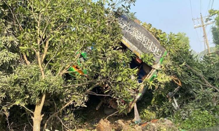 মিরসরাইয়ে শিক্ষা সফরের বাস খাদে, আহত ১৫