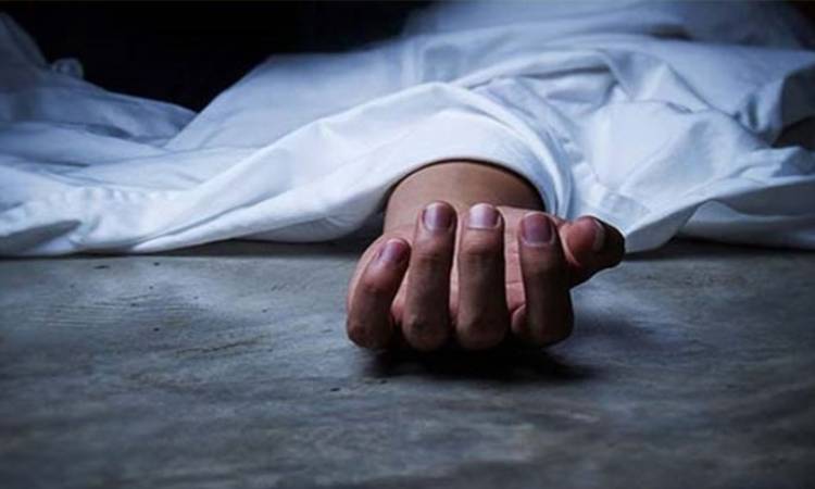 লামায় বন্যহাতির আক্রমণে শ্রমিক নিহত
