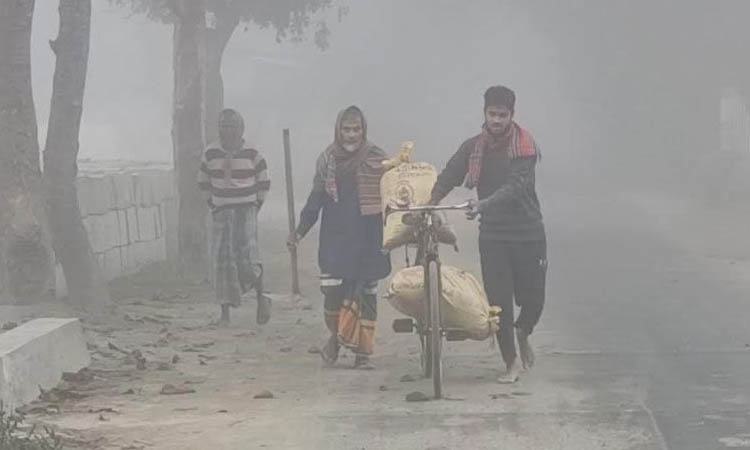 কুড়িগ্রামে টানা ৬ দিন সূর্যের দেখা নেই, দুশ্চিন্তায় কৃষক