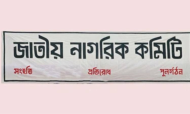 আরও ৫ সেল গঠন করল জাতীয় নাগরিক কমিটি