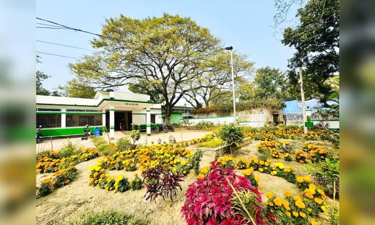 সিংড়ায় মুগ্ধতা ছড়াচ্ছে বিএডিসি অফিসের ফুলের বাগান