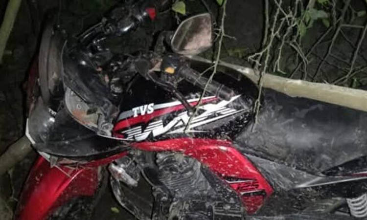 নাটোরে মোটরসাইকেল দুর্ঘটনায় ২ ভাই নিহত