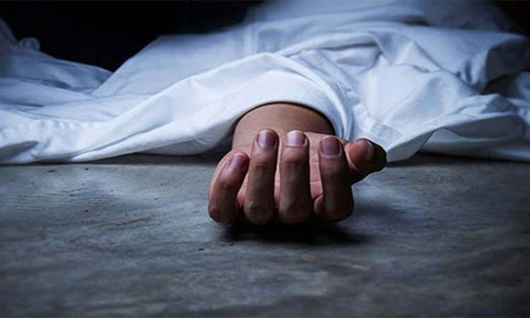 কক্সবাজারে হাতির আক্রমণে শ্রমিক নিহত